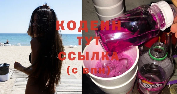 сатива Дмитровск